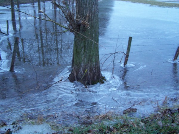 Découverte de la Seille Peche_11