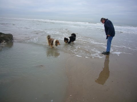 nos chiens et l\'eau. P1000411