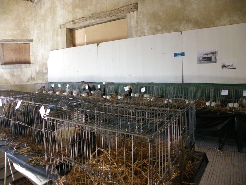 Brocante et manifestation avicole le 15 mai 2011 à Nancras Imgp8115
