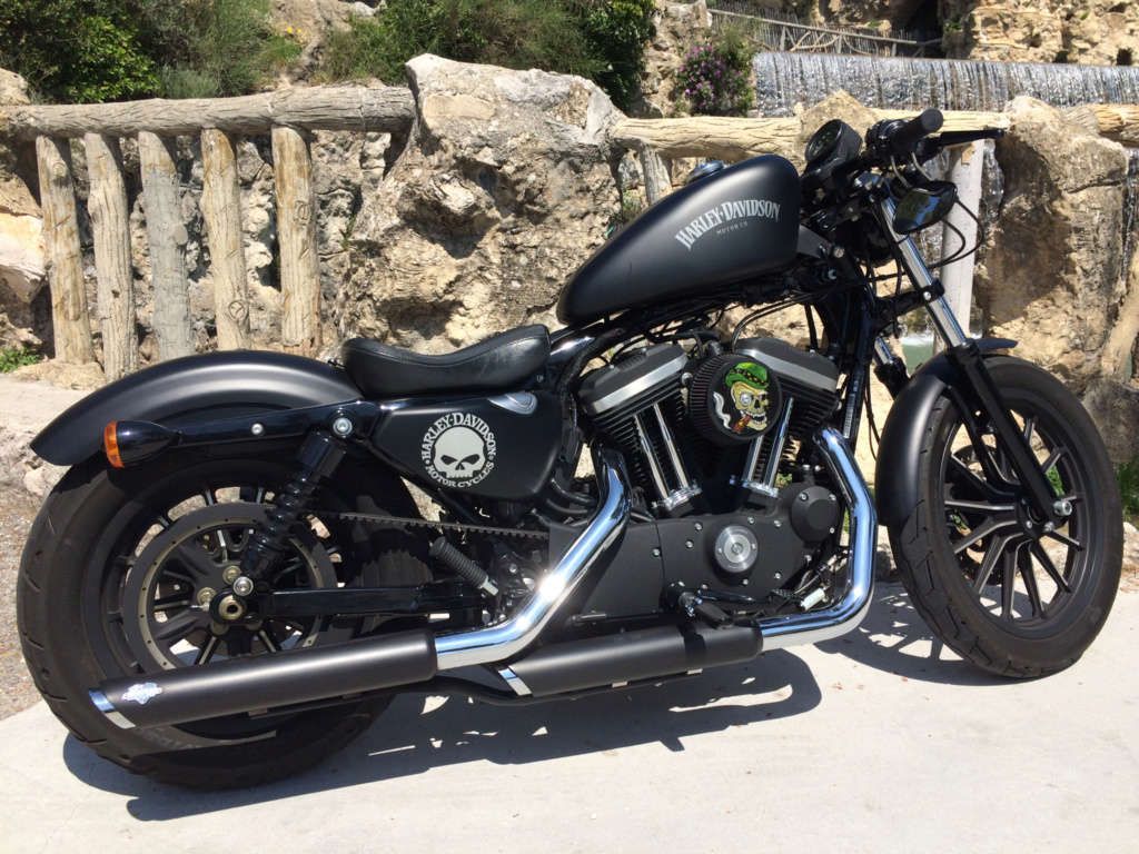 Street Bob 2019 Img_7313