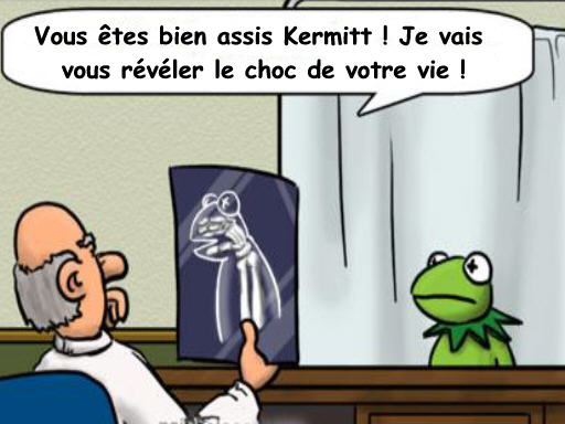 Enigmes assez "costaudes" - Page 26 Kermit11