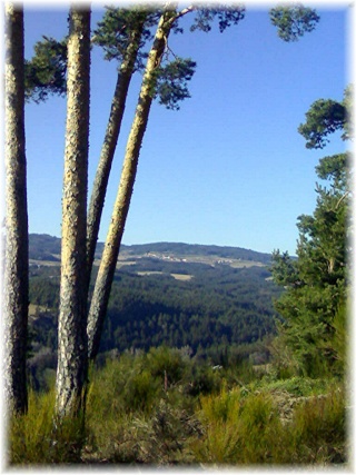 le temps sur st pal ( et environs) 09022012