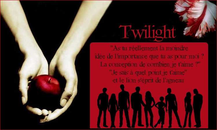 ~Twilight~