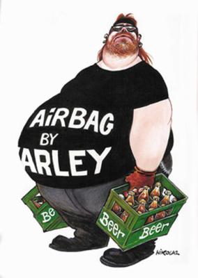 airbag by Harley! 14796310