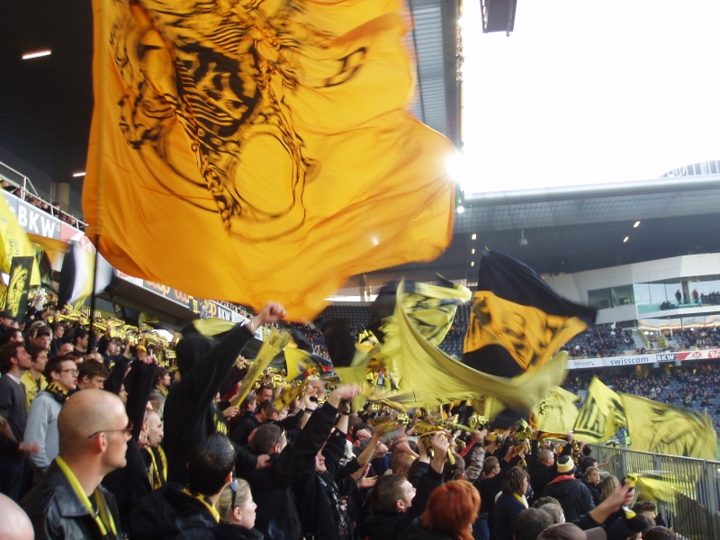 BSC YB ... YOUNG BOYS P2240413