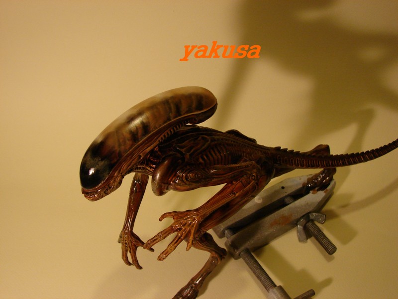 alien halcyon 1/9 by yakusa Dsc00622