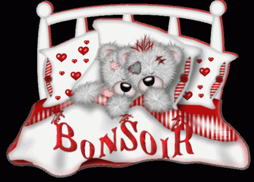 بـطـاقـــات BonSoir  مـــدهــشــة Bonsoi17