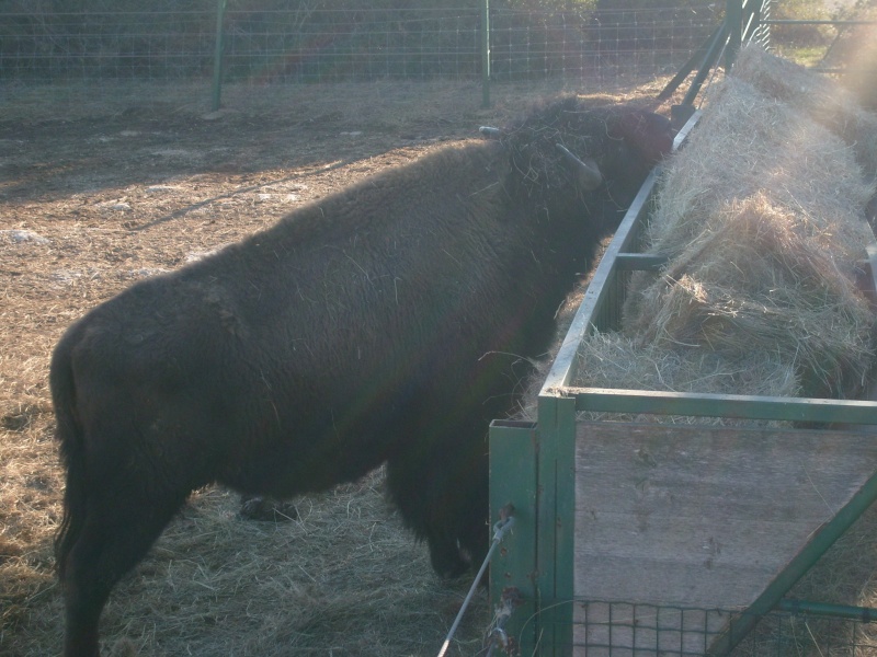 zoo de la Barben S7304523