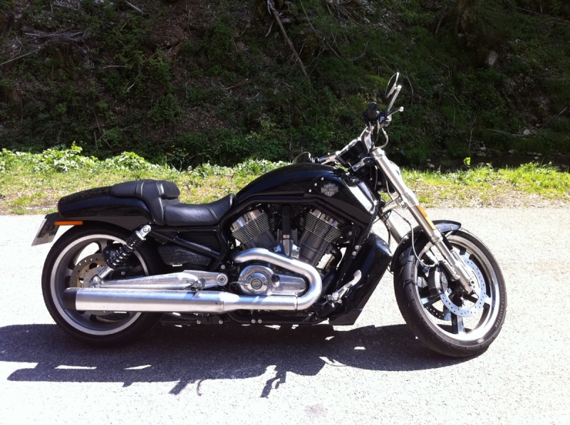 Jim essaie la Harley Davidson Muscle 29342d10