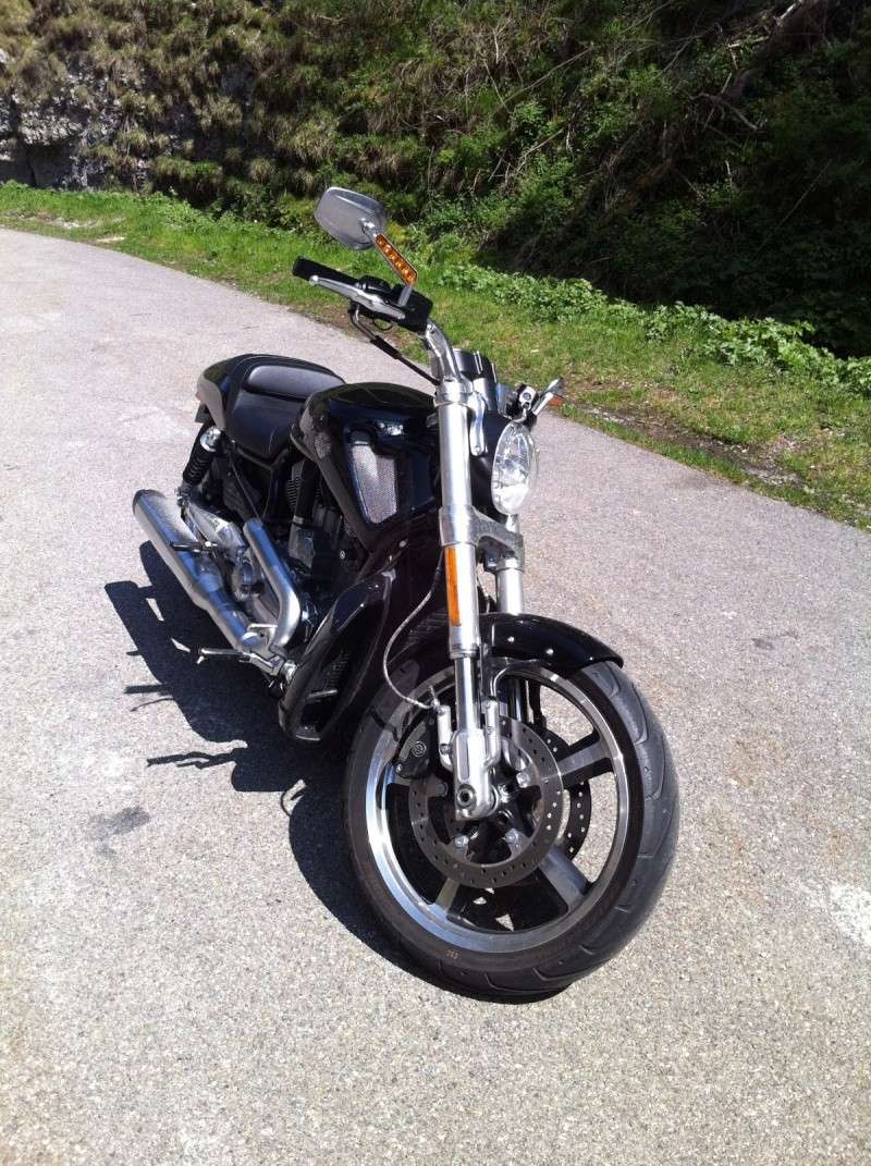 Jim essaie la Harley Davidson Muscle 29343d10