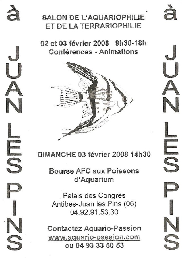 Bourse a juan les pins Bourse10