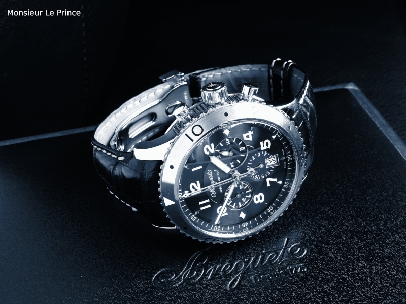 Votre retour sur la Breguet type XX Typexx10