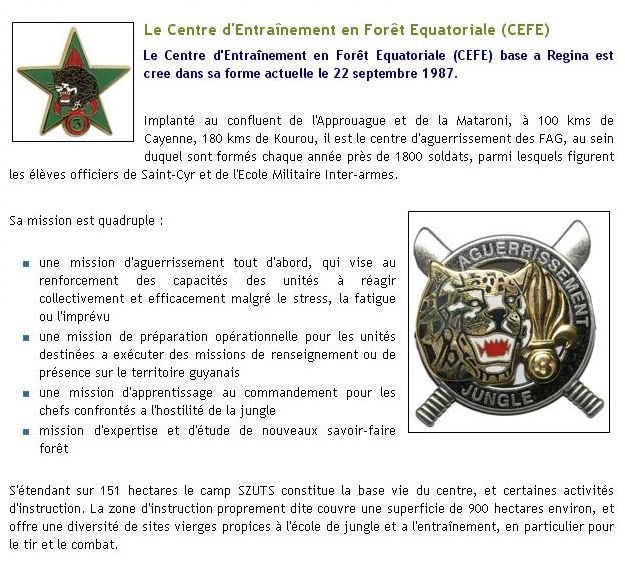 NainZine [nainfanterie]le C.E.F.E. Cefe_110