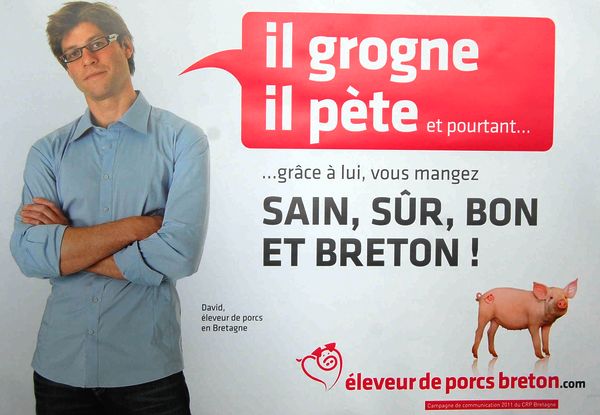 Cochon breton : humour Cochon10