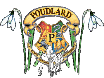 Poudlard, 15 ans après
