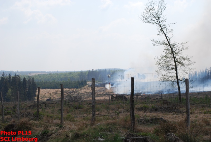25/04/2011 : Incendie dans les Fagnes + photos - Page 2 Dsc_0318
