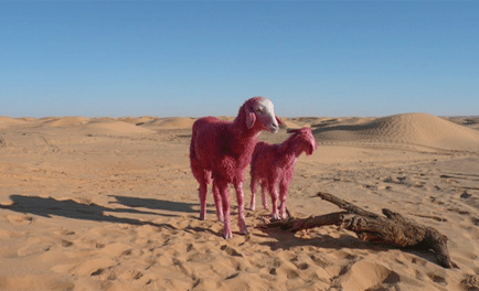 Marco Evaristti peint le Sahara en rouge Sahara10