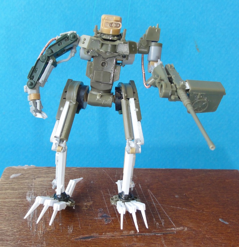 S.R.R.S-35 M110