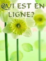 Qui est en ligne ?