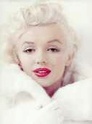 bibliographie marilyn monroe P11