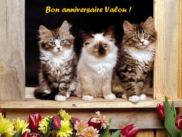 Bon anniversaire Valou 3_chat10