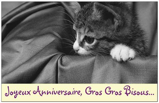 Carte Anniversaire Avec Chat Noir Gallery