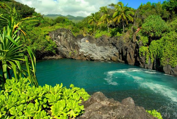 جزر هاواي - جزء 2 411