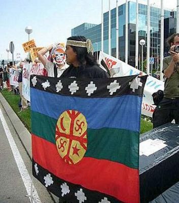 Declaración  ante el cobarde asesinato del joven Mapuche Actual10