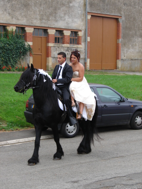 Mon mariage sur le dos de mon frison Tornado Mariag11