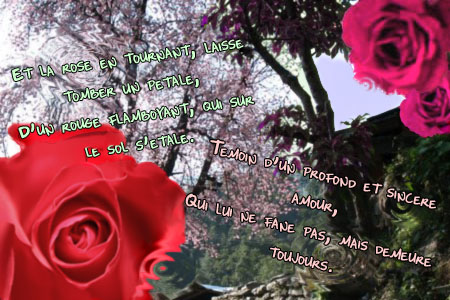 La Saint Valentin Pour Vous... - Page 2 Amour_10