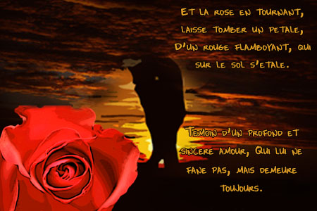 La Saint Valentin Pour Vous... Amour_12