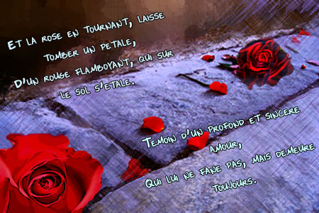 La Saint Valentin Pour Vous... Amour_14