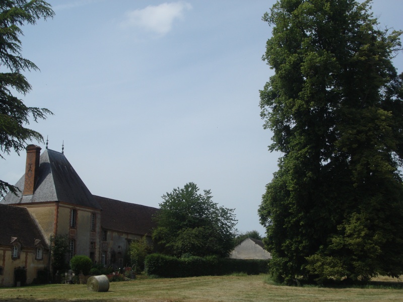 Visite du Château de MAILLEBOIS(28) le 21/05/11 Dsc09338