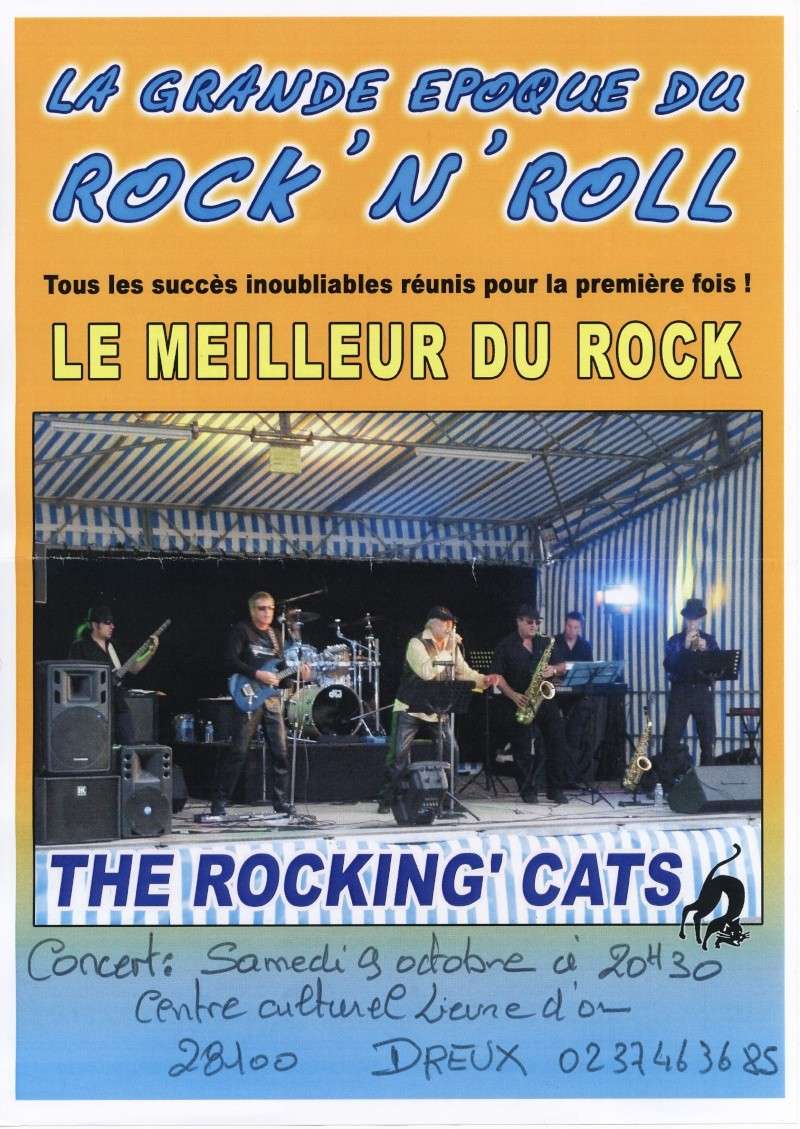 The Rocking'Cats au centre du Lièvre d'Or à Dreux le 9/10/10 Img_0045