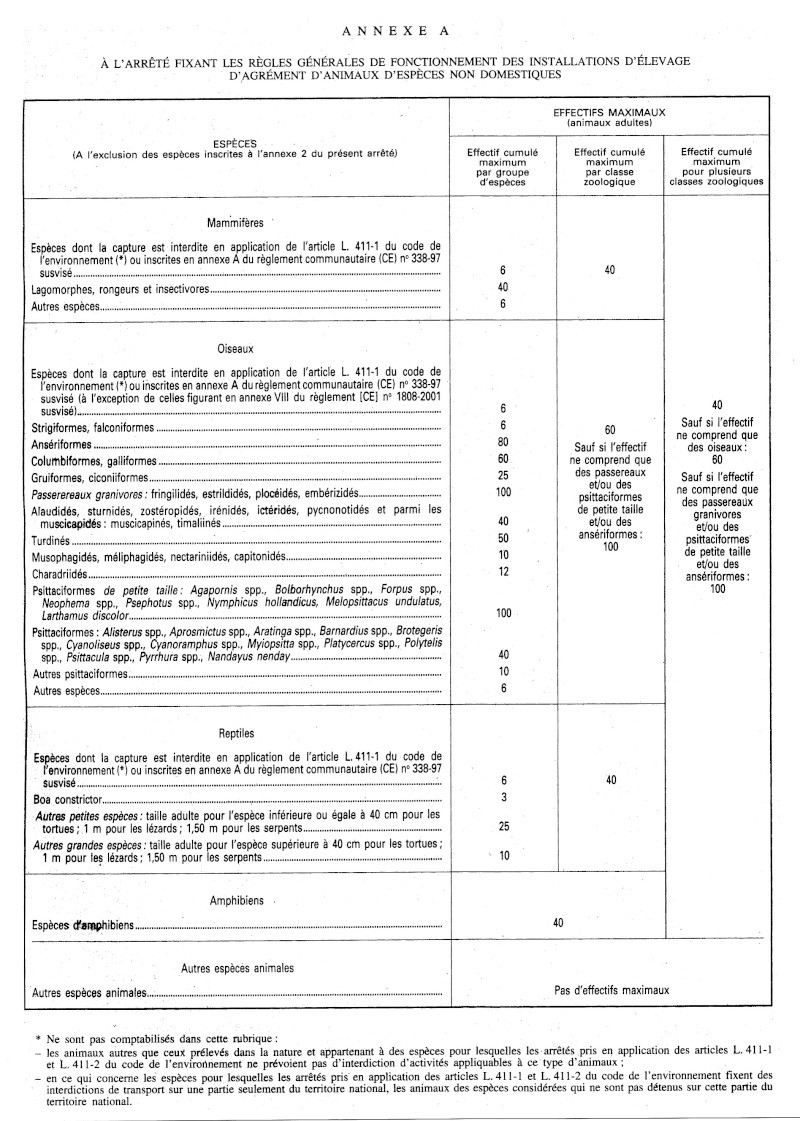 nid - Page 2 Img10