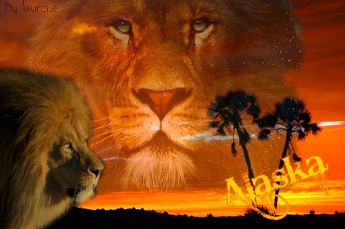 mes lion(ne)s Image210
