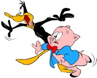 Relations du canard toon number one Daffy_11