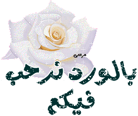 هاني الحاج حسن 2910