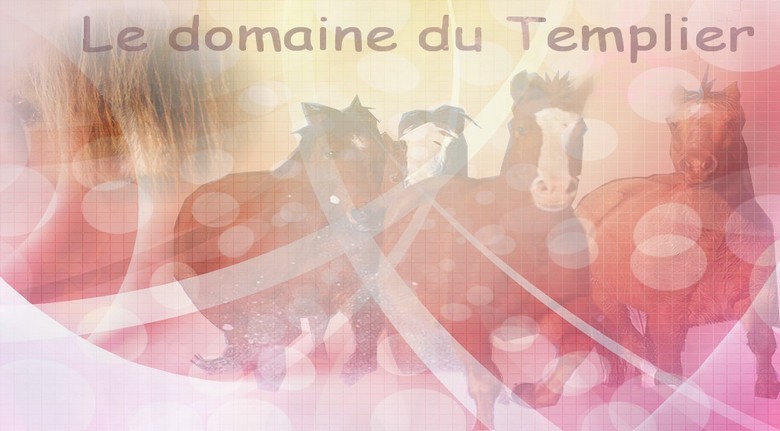 Le Domaine du Templier