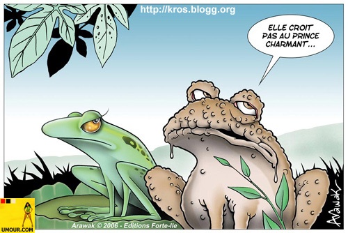 Mes loulous et autres bestioles Frog-g10