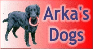 Arka's dogs Arkasd10