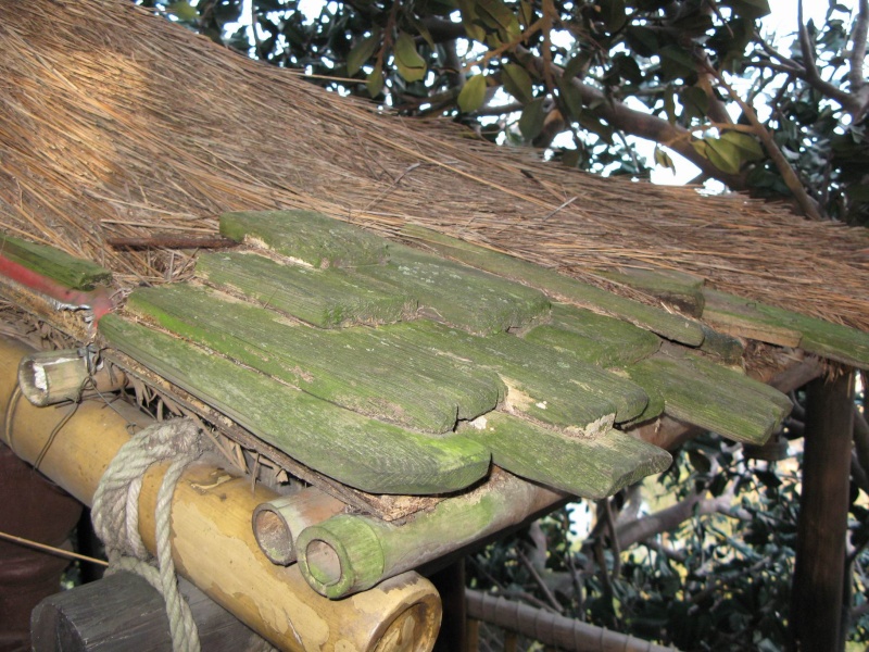 La Cabane des Robinson 1210