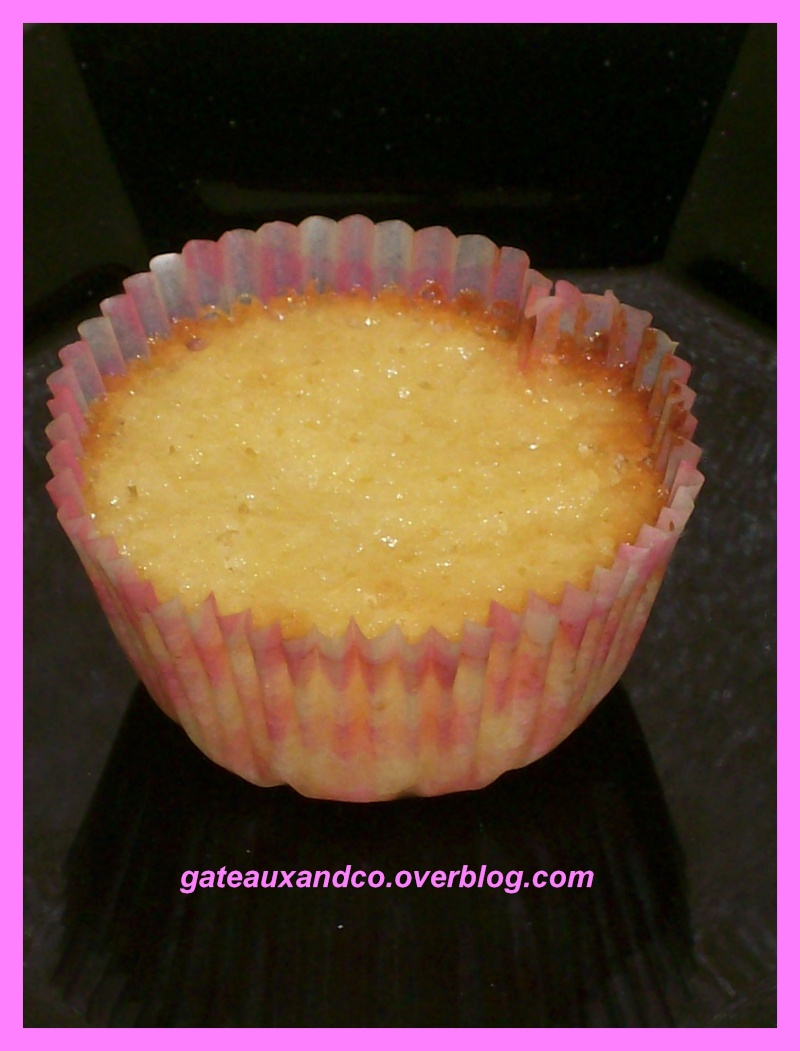 Cupcakes : recettes et décors simples - Page 3 00313
