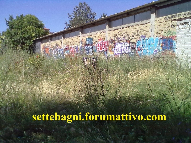 Giardini e Parchi pubblici di Settebagni - Pagina 4 23062013