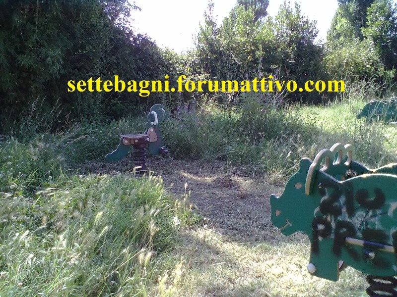 Giardini e Parchi pubblici di Settebagni - Pagina 4 23062015