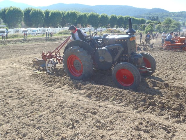 fête des tracteurs à Malaucène le 7 et 8 mai 2011 - Page 2 P5081410