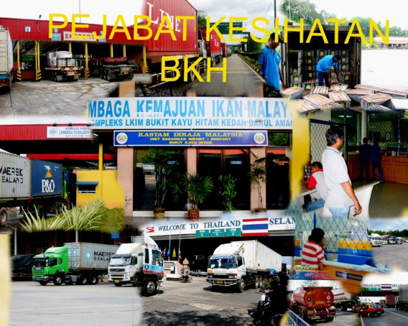 SEJARAH PEJABAT KESIHATAN BUKIT KAYU HITAM,KEDAH 2008_b11