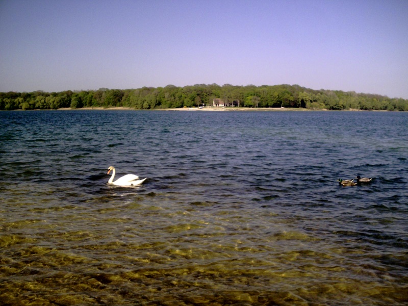 Parc naturel rgional de la fort d'Orient Crim0414