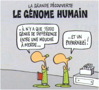Images rigolotes en vrac - Page 4 Genome10