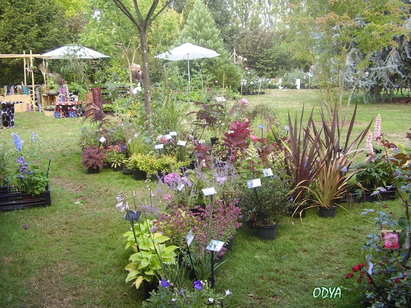  Fête des Plantes au Jardin Secret du Grand Boulay P9120032